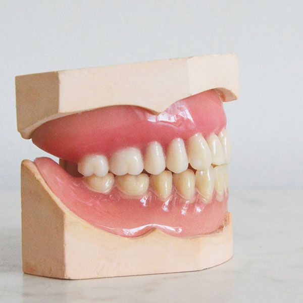歯槽骨と歯のイメージ