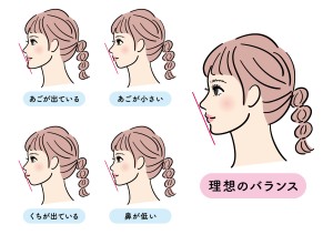 理想　横顔　Eライン